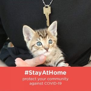 Meet your Posher, Lev